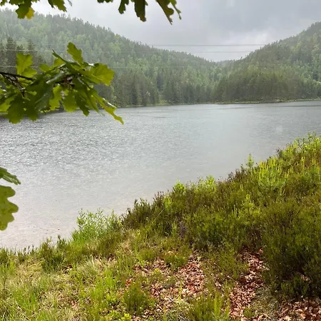 Koselig Gammel Ved Vannet * Skien