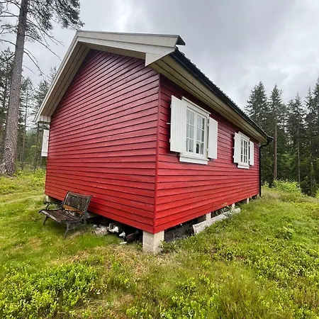 Koselig Gammel Ved Vannet
